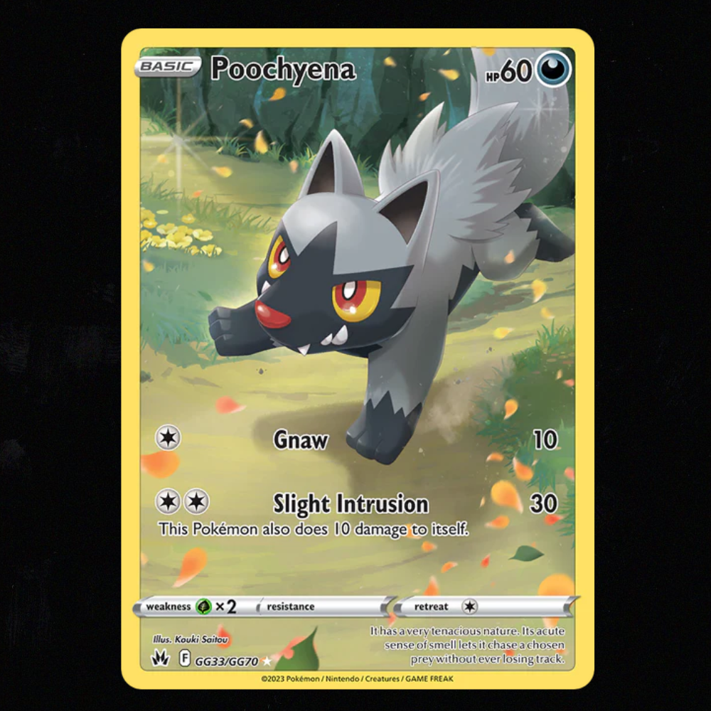 Poochyena #GG33 Pokemon Crown Zenith NM-M